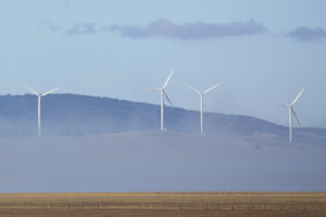 FUR2012canberra01