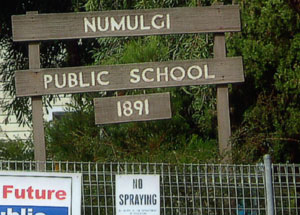 43numulgi