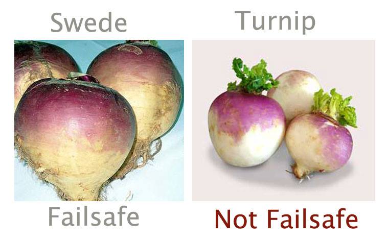 FAQswedevsturnip