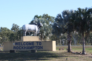 FUR2012rockie02