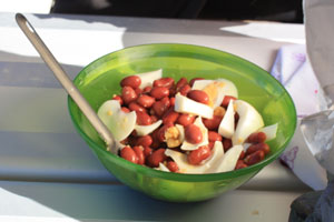 beansalad
