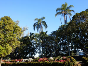 FUR2013lismore01