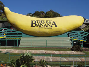 banana