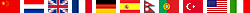 Flags indicating languages our brochures are available in.