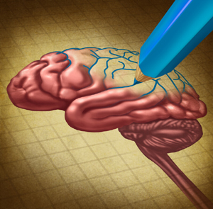 canstockphoto21924302small