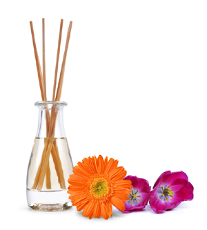 canstockphoto35674448small