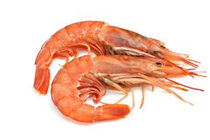 canstockphoto6640850small