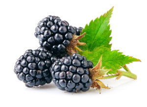 canstockphoto7021852