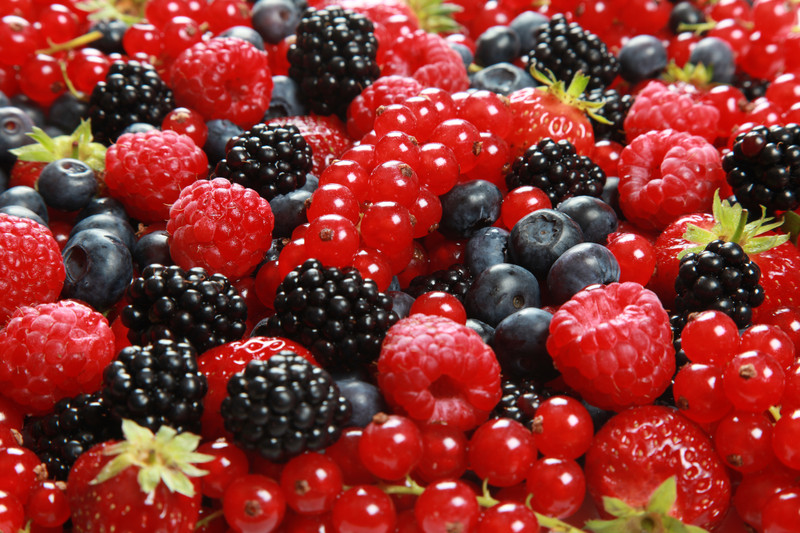 canstockphoto7095516