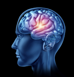canstockphoto9965489small