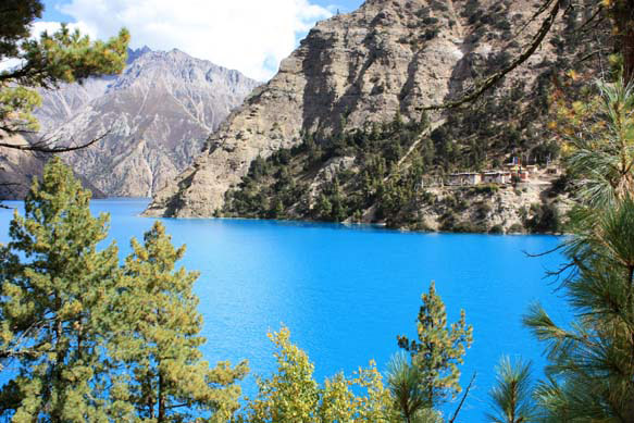 00Dolpo20b