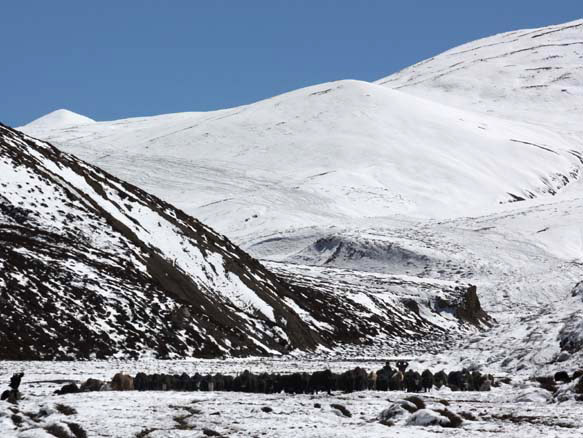 00Dolpo32