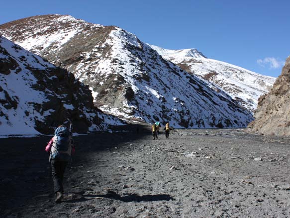 00Dolpo33