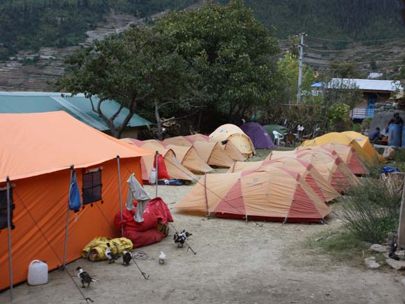 00Dolpo38