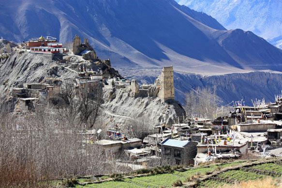 2010Muktiimage005