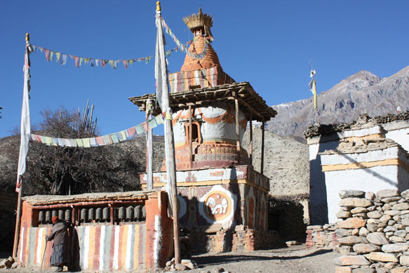 2010Mustangimage009