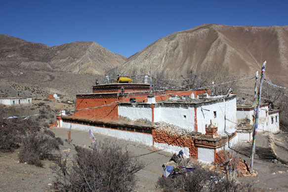 2010Mustangimage015