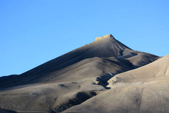 2010Mustangimage023