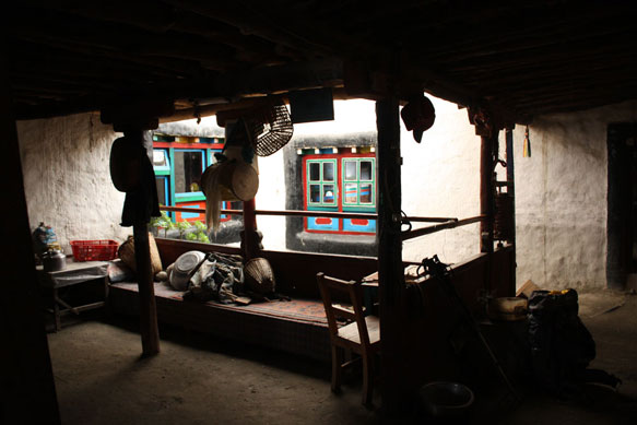 2010Mustangimage027