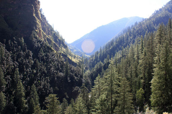 2015dolpo02