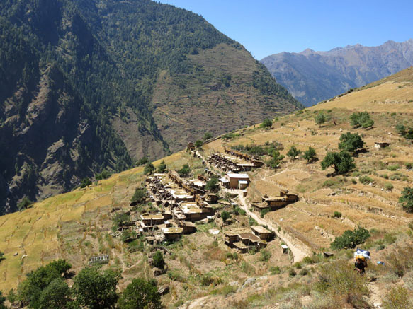 2015dolpo08b