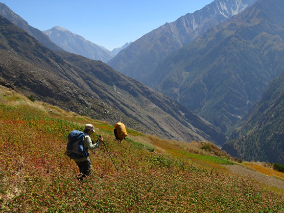 2015dolpo08f