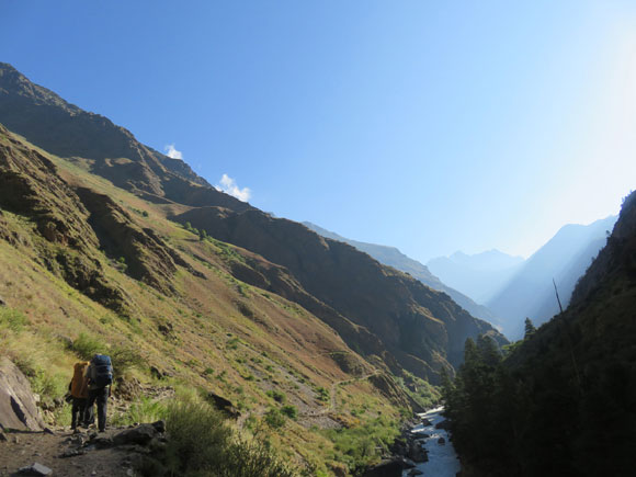 2015dolpo08z