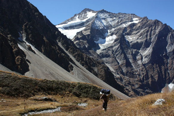 2015dolpo10a