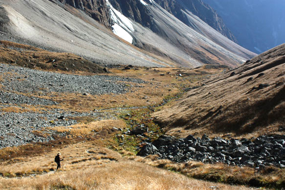 2015dolpo10b