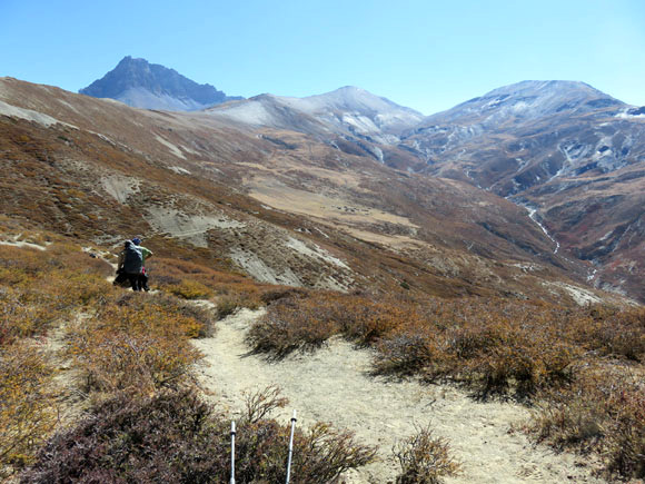 2015dolpo19a
