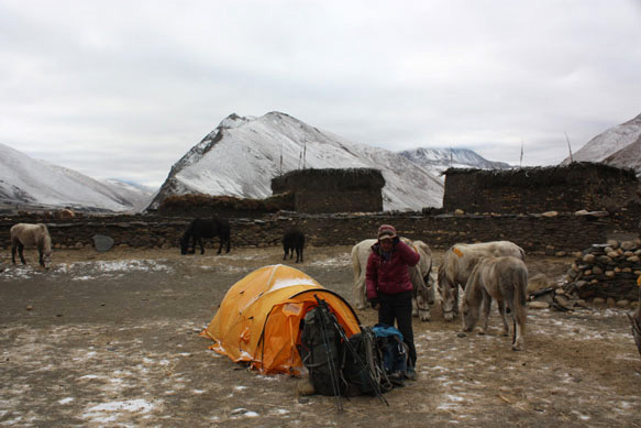 2015dolpo30b