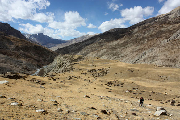 2015dolpo33b