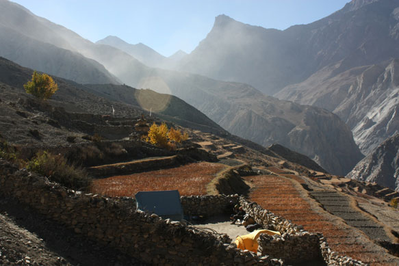 2015dolpo36a