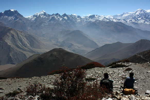 2015dolpo37a