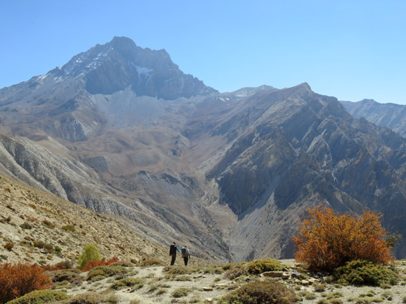 2016dolpo03