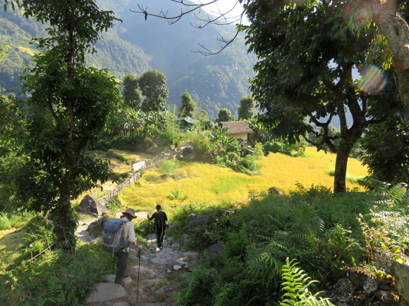 2017Makalu33