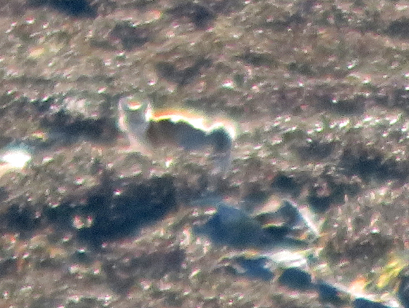 2018gauri13b