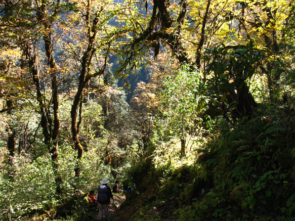 Kangchenjunga03