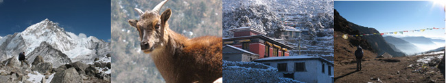 nepalbanner01