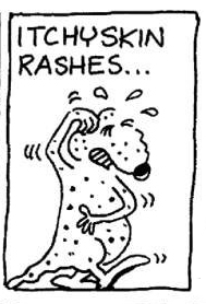 ratitchy