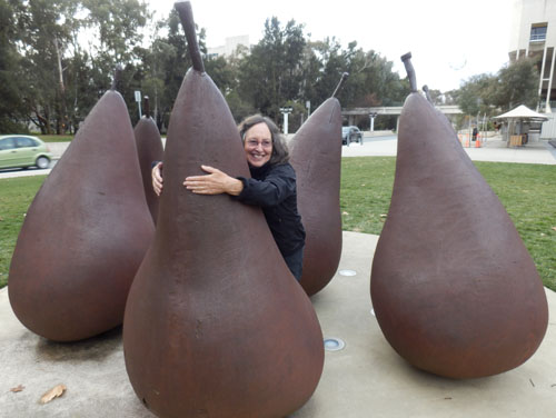 suepears2013